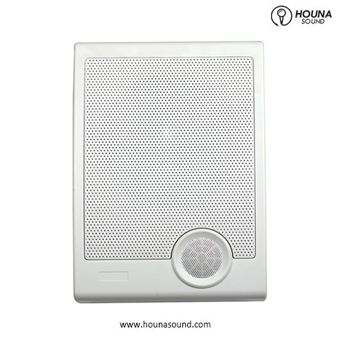 WS-570 6.5inch Low profile on-wall speaker 